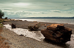 Seahurst Park in Burien WA, waterfront community park near rental properties