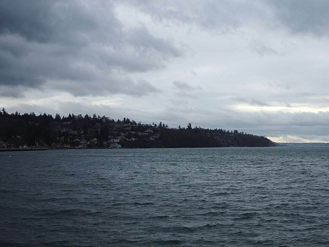 Federal Way WA residential neighborhood with rental properties managed by Sagareus Property Management
