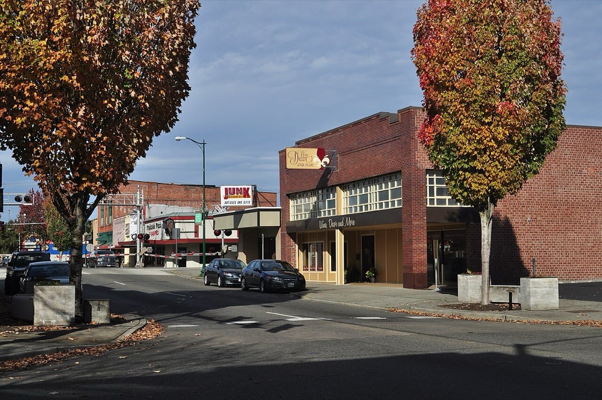 Puyallup WA with Mount Rainier views, residential property management by Sagareus in Pierce County