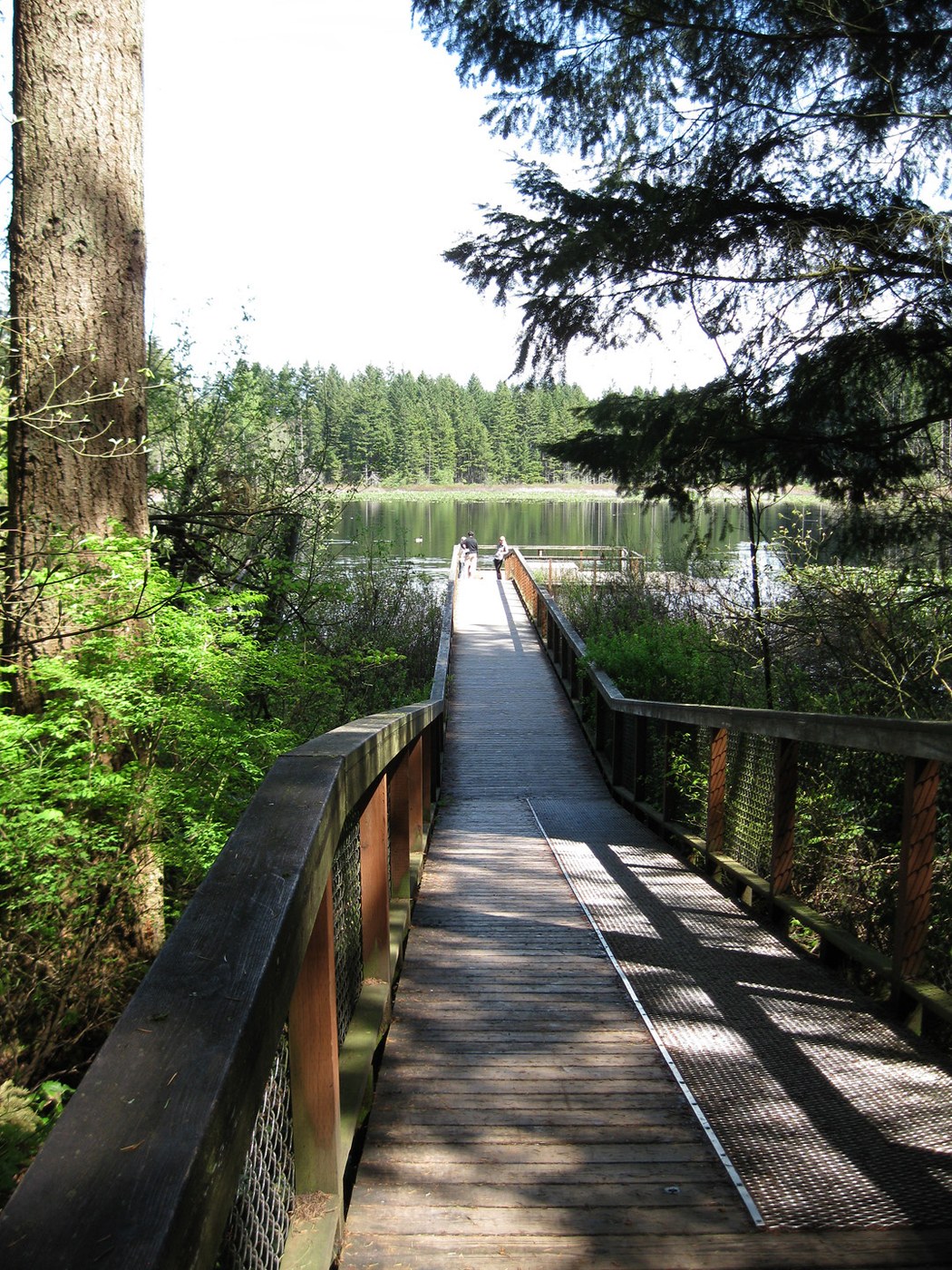 Sammamish Plateau neighborhood, family-friendly rental community on the Eastside