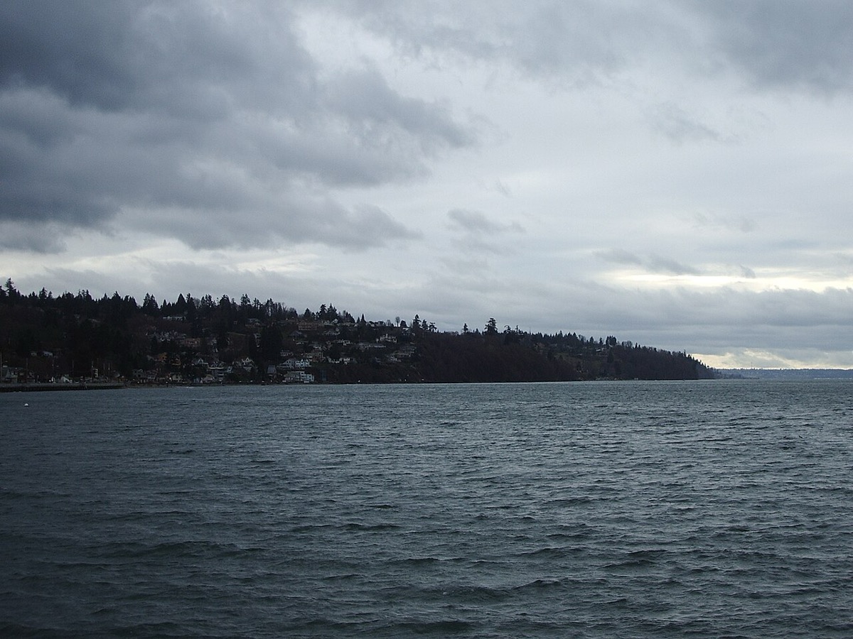 Federal Way WA residential neighborhood with rental properties managed by Sagareus Property Management