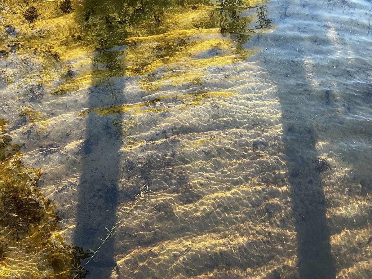 Mountlake Terrace WA residential rental properties managed by Sagareus Property Management